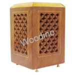 Woodino Sheesham Jali Rectangle Pen Jar