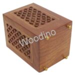 Woodino Sheesham Jali Rectangle Pen Jar